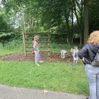 IMG-20260606-WA0016